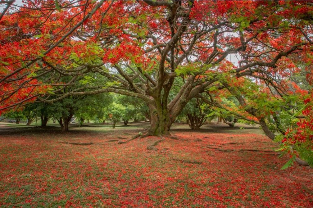 Suites Privativas Vila De Sao Jorge - Chapada Dos Veadeiros المظهر الخارجي الصورة